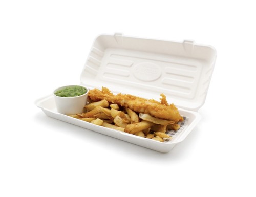 Bagasse boxes large fish and - bagasse,